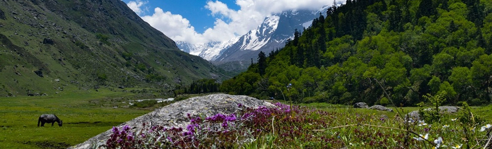 ROOPKUND TREK